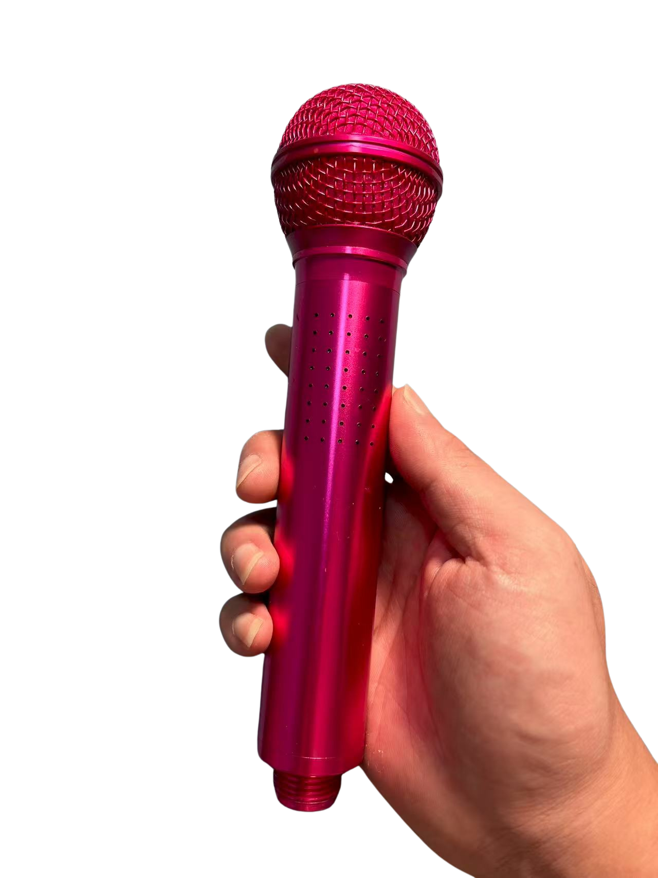 Bathroom Singer™