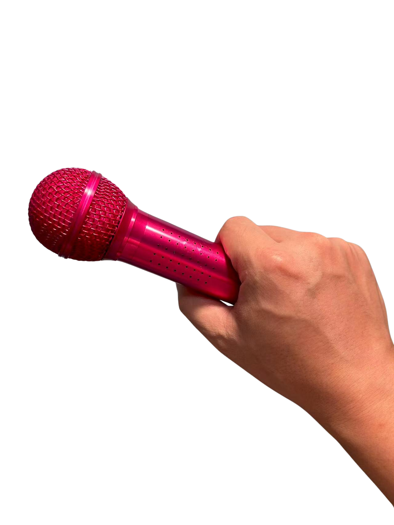 Bathroom Singer™
